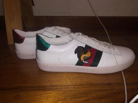 gallo con tenis gucci